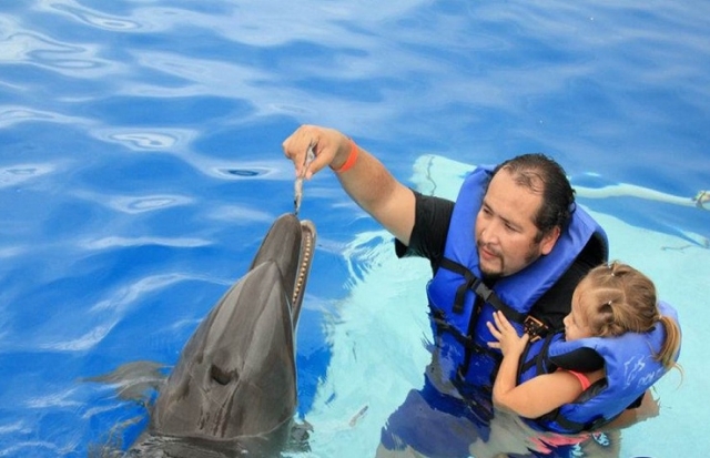 Nado con delfines